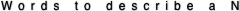 Words to describe a N
